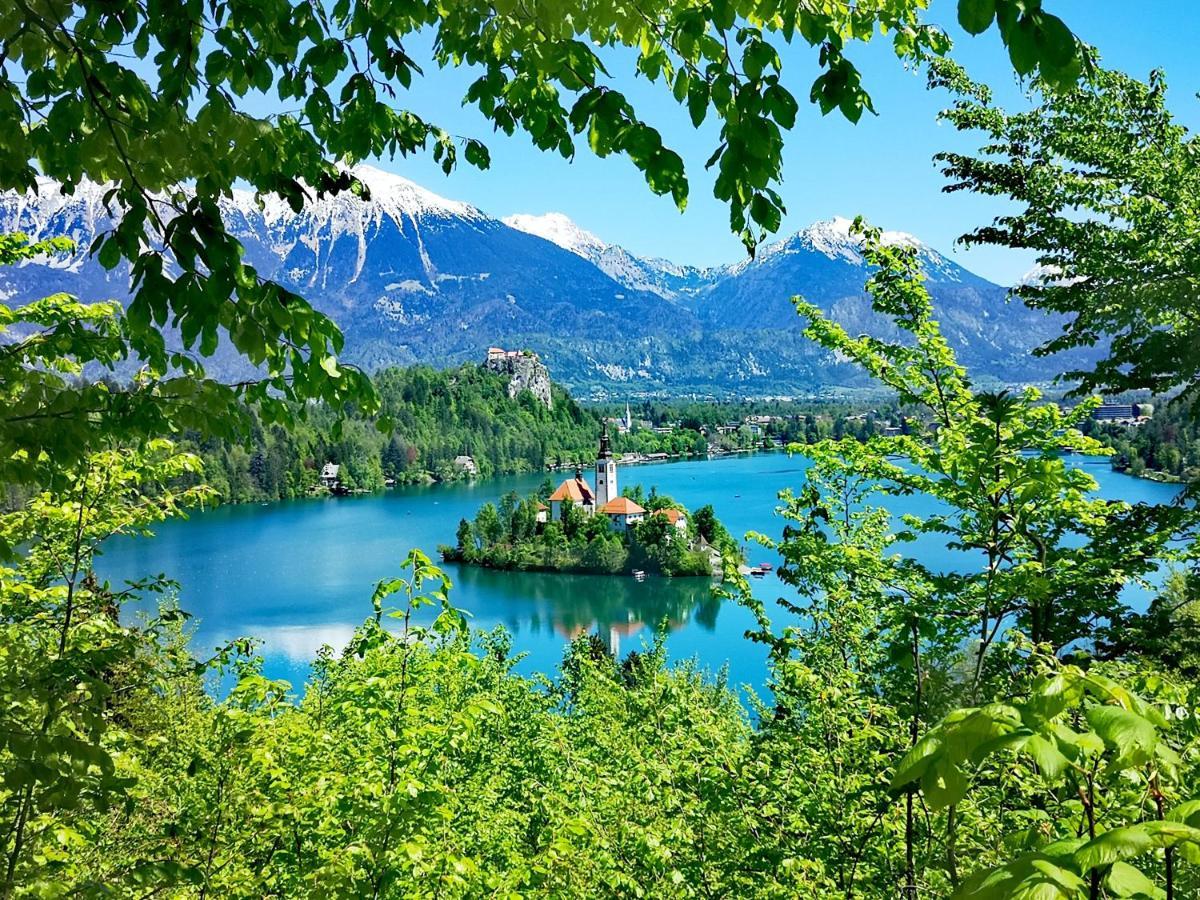 Ribno Alpine Hotel Bled Exteriér fotografie